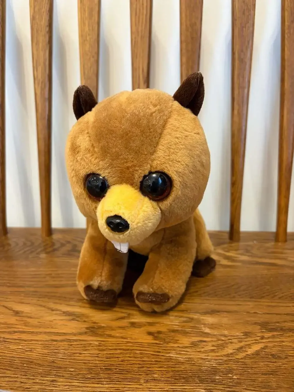 Ty Beanie Boos Richie Beaver Plush Stuffed Animal